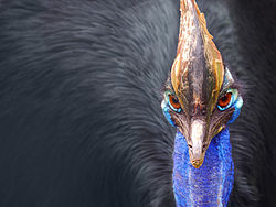 Click image for larger version

Name:	watermark.php.png
Views:	1
Size:	63.8 KB
ID:	1297118