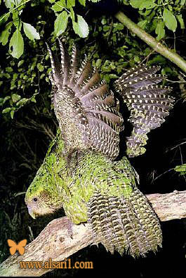Click image for larger version

Name:	תצפית ירבוע מצו&amp;#1.jpg
Views:	1
Size:	70.2 KB
ID:	1297188