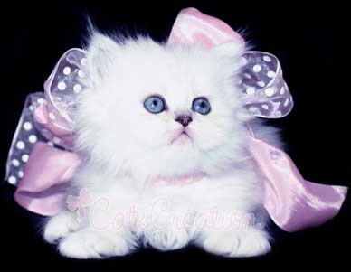 Click image for larger version

Name:	115741.jpg
Views:	1
Size:	10.1 KB
ID:	1297281