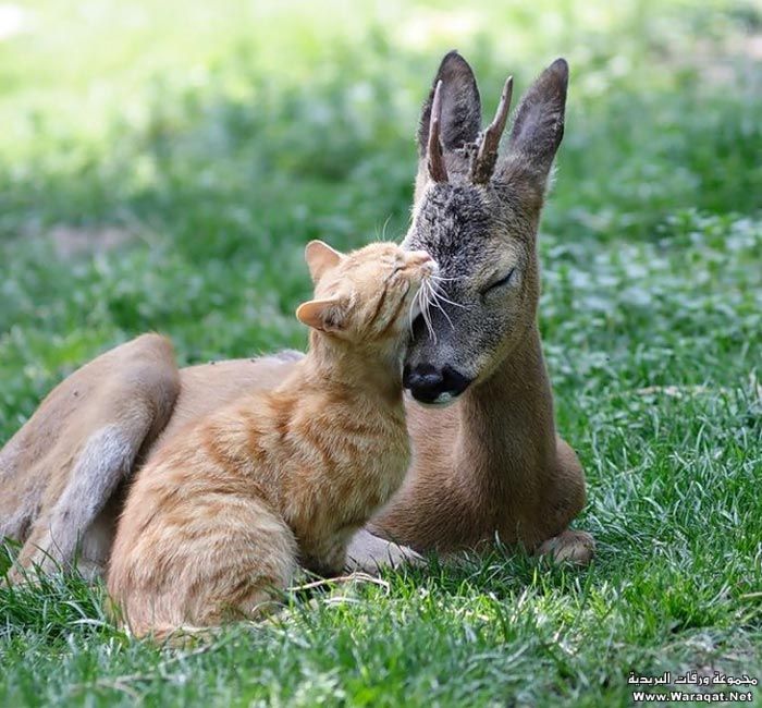 Click image for larger version

Name:	9.jpg
Views:	1
Size:	93.3 KB
ID:	1297327