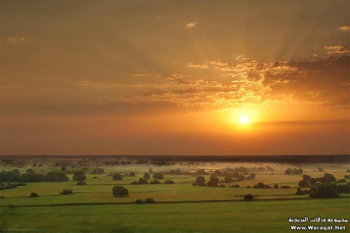 Click image for larger version

Name:	11.jpg
Views:	1
Size:	31.6 KB
ID:	1297329