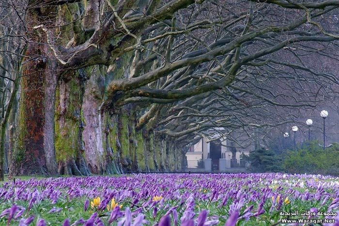 Click image for larger version

Name:	15.jpg
Views:	1
Size:	111.5 KB
ID:	1297330