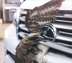 Click image for larger version

Name:	40.jpg
Views:	1
Size:	12.1 KB
ID:	1356662