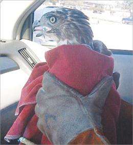 Click image for larger version

Name:	43.jpg
Views:	1
Size:	11.0 KB
ID:	1356664