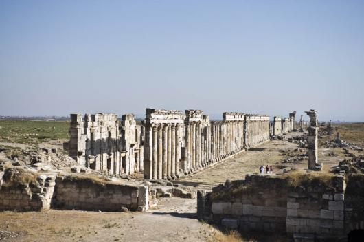 Click image for larger version

Name:	ds-ApameeN59.JPG
Views:	1
Size:	29.1 KB
ID:	1356692