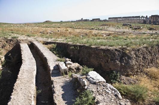 Click image for larger version

Name:	ds-ApameeN48.JPG
Views:	1
Size:	44.5 KB
ID:	1297422