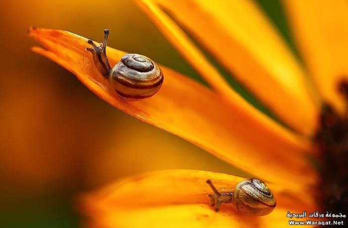 Click image for larger version

Name:	5.jpg
Views:	1
Size:	31.6 KB
ID:	1297438