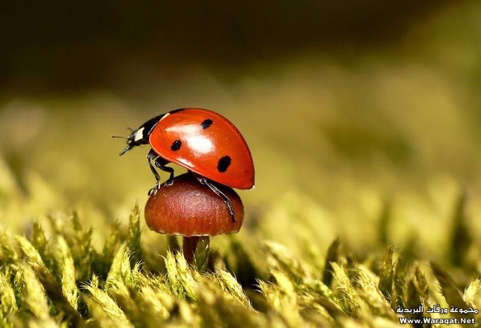 Click image for larger version

Name:	3.jpg
Views:	1
Size:	43.6 KB
ID:	1297440