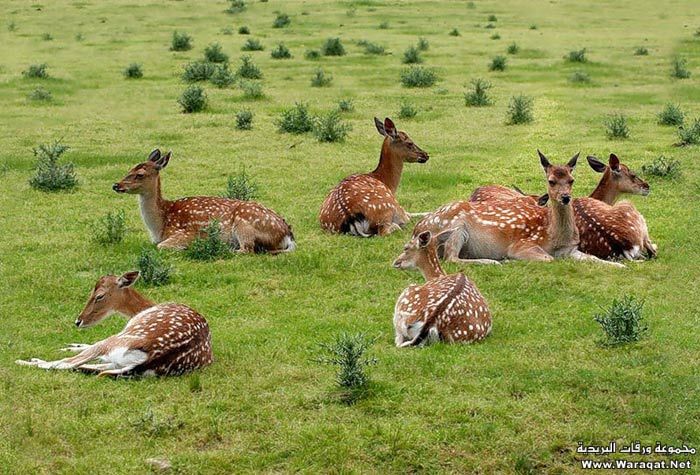 Click image for larger version

Name:	6.jpg
Views:	1
Size:	99.7 KB
ID:	1297443