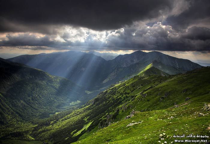 Click image for larger version

Name:	10.jpg
Views:	1
Size:	62.8 KB
ID:	1297444