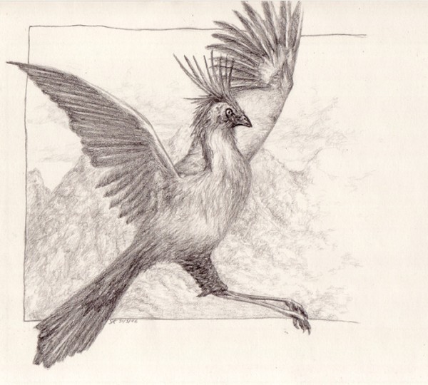 Click image for larger version

Name:	555555555og3.jpg
Views:	1
Size:	74.3 KB
ID:	1297560