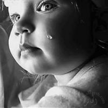 Click image for larger version

Name:	gallery_3_2_5496.jpg
Views:	1
Size:	46.9 KB
ID:	1356866