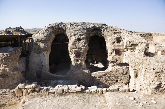 Click image for larger version

Name:	ds-ApameeN42.JPG
Views:	1
Size:	41.7 KB
ID:	1297669