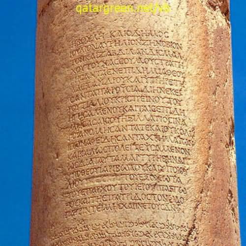 Click image for larger version

Name:	palmyra31.jpg
Views:	1
Size:	48.1 KB
ID:	1297740