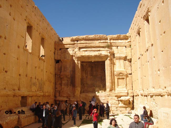 Click image for larger version

Name:	dsc00072.jpg
Views:	1
Size:	52.0 KB
ID:	1297745