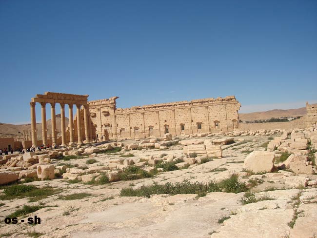 Click image for larger version

Name:	dsc00053.jpg
Views:	1
Size:	51.6 KB
ID:	1297771