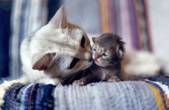 Click image for larger version

Name:	1.jpg
Views:	1
Size:	48.0 KB
ID:	1297883