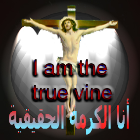Click image for larger version

Name:	21293663ci4.jpg
Views:	2
Size:	71.5 KB
ID:	1357103