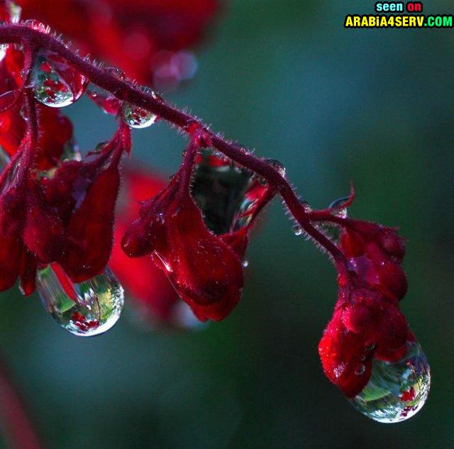 Click image for larger version

Name:	6c0eftrsimemn1n0akf.jpg
Views:	1
Size:	48.6 KB
ID:	1358144