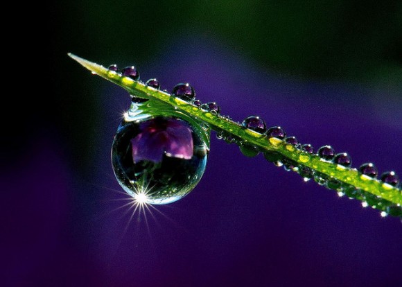 Click image for larger version

Name:	129-580x414.jpg
Views:	1
Size:	46.9 KB
ID:	1358146