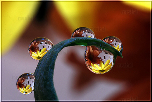 Click image for larger version

Name:	20274alsh3er.gif.jpg
Views:	1
Size:	114.4 KB
ID:	1358149