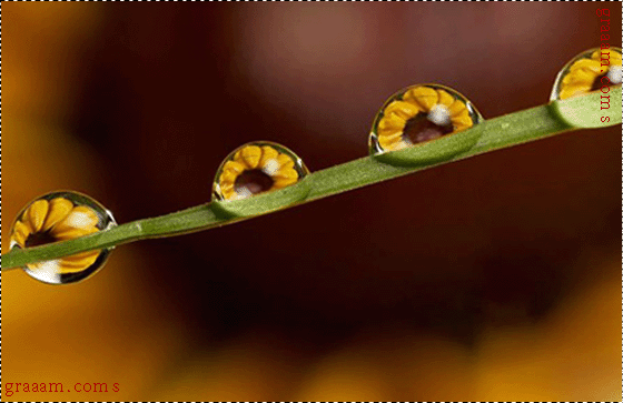 Click image for larger version

Name:	975d6234bd5bdc7e9c9c0668cf8de857.gif
Views:	1
Size:	85.9 KB
ID:	1300534