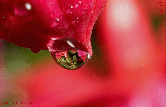 Click image for larger version

Name:	123793119f22014234cd6341cf6f7497.gif
Views:	1
Size:	98.1 KB
ID:	1300539
