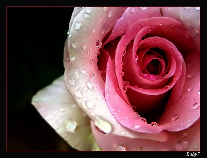 Click image for larger version

Name:	c0f944953a397be3d3fb4f160199509f.jpg
Views:	1
Size:	38.6 KB
ID:	1300597