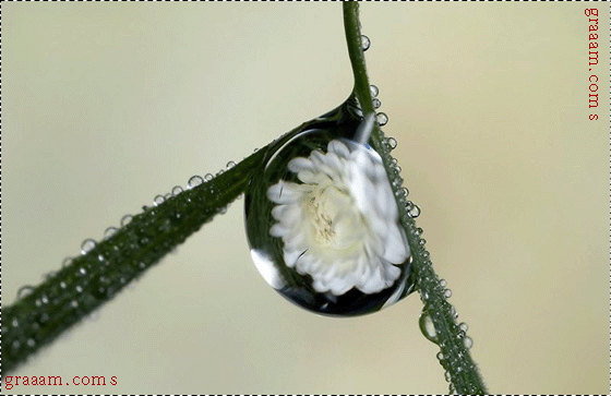 Click image for larger version

Name:	d95699ce9d76993e46dc8b62cfb5e7f1.gif
Views:	1
Size:	102.7 KB
ID:	1300601