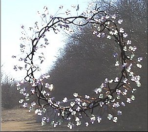 Click image for larger version

Name:	dewdrop.jpg
Views:	2
Size:	33.3 KB
ID:	1300609