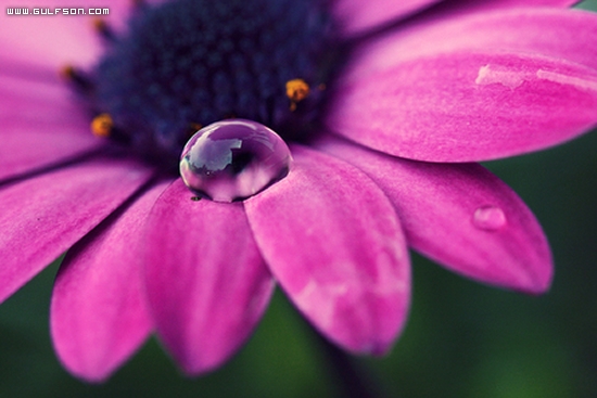 Click image for larger version

Name:	6c1d10c932002911de2afb1ffce70d81.jpg
Views:	1
Size:	133.3 KB
ID:	1300545