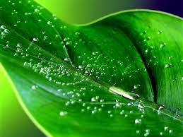 Click image for larger version

Name:	.jpg
Views:	1
Size:	10.3 KB
ID:	1300550