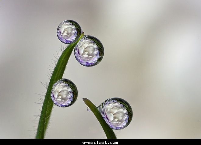 Click image for larger version

Name:	4bde7f3cd5a3c.jpg
Views:	1
Size:	29.9 KB
ID:	1300554