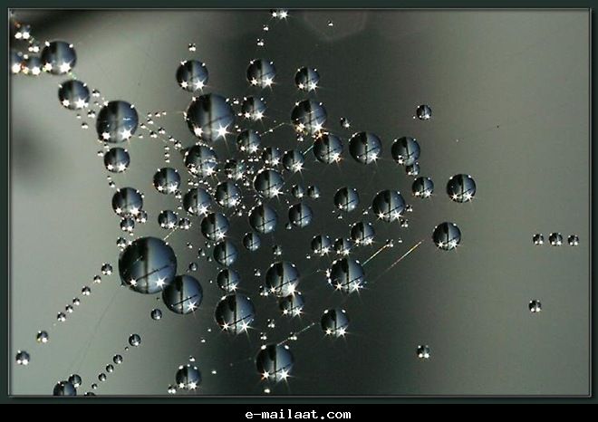 Click image for larger version

Name:	4bde7f7d56bb0.jpg
Views:	1
Size:	48.6 KB
ID:	1300556