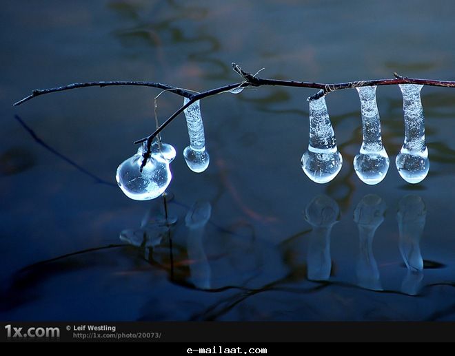 Click image for larger version

Name:	4bde7f8c34094.jpg
Views:	1
Size:	38.0 KB
ID:	1300558