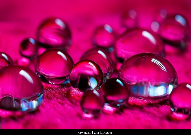 Click image for larger version

Name:	4bde7f6813011.jpg
Views:	1
Size:	39.3 KB
ID:	1300560
