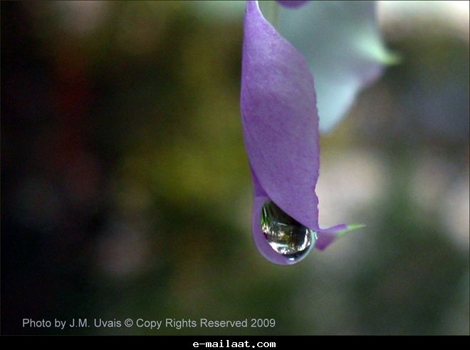 Click image for larger version

Name:	4bde7fdaa1eee.jpg
Views:	1
Size:	32.6 KB
ID:	1300566