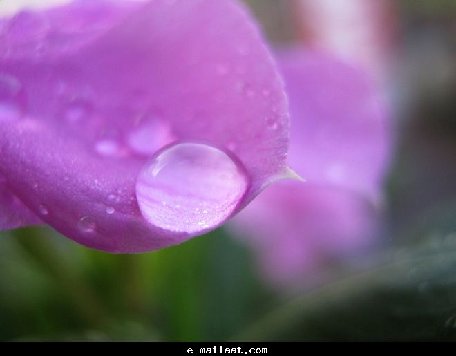 Click image for larger version

Name:	4bde800bdf4a9.jpg
Views:	1
Size:	25.0 KB
ID:	1300569