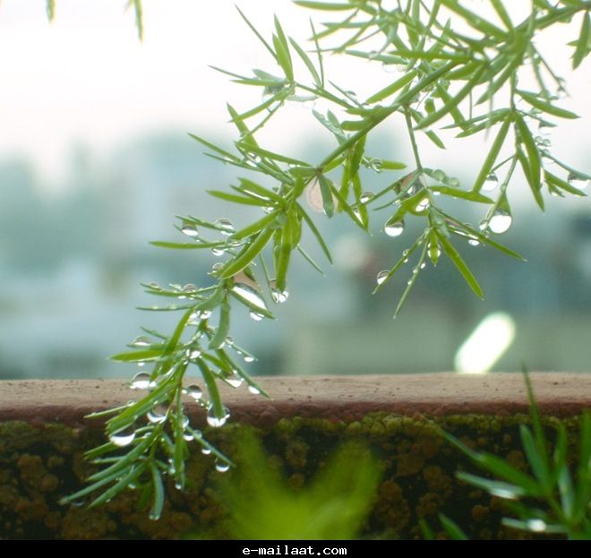 Click image for larger version

Name:	4bde800c03901.jpg
Views:	1
Size:	58.8 KB
ID:	1300570