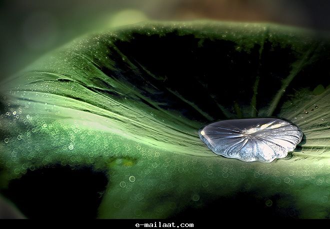 Click image for larger version

Name:	4bde806f9208f.jpg
Views:	1
Size:	49.7 KB
ID:	1300573