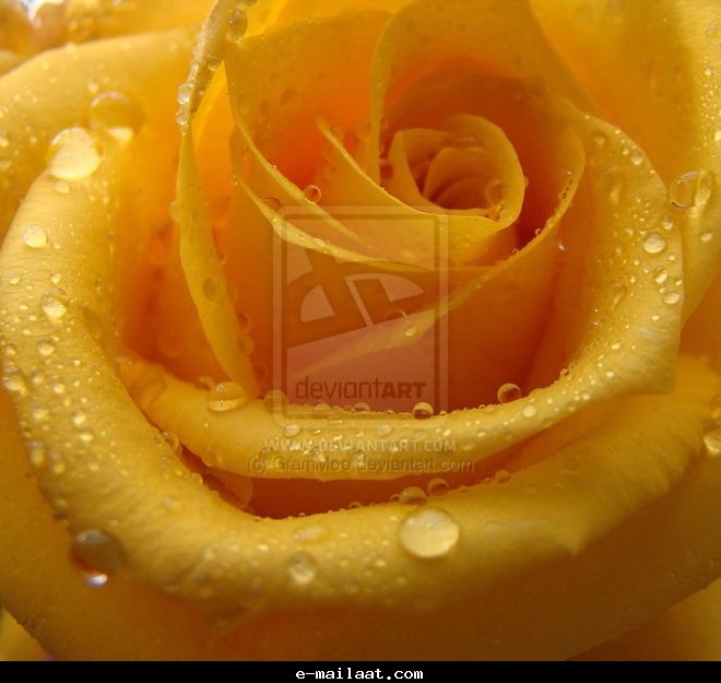 Click image for larger version

Name:	4bde8049b670a.jpg
Views:	1
Size:	47.1 KB
ID:	1300575