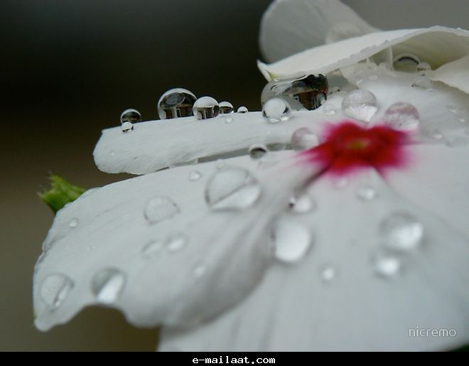 Click image for larger version

Name:	4bde80498ba5b.jpg
Views:	1
Size:	27.5 KB
ID:	1300579