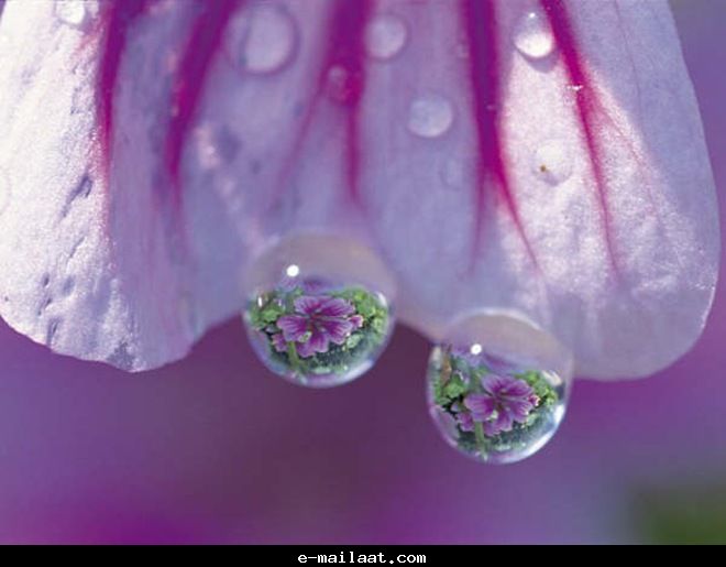 Click image for larger version

Name:	4bde8027167b0.jpg
Views:	1
Size:	35.7 KB
ID:	1300580