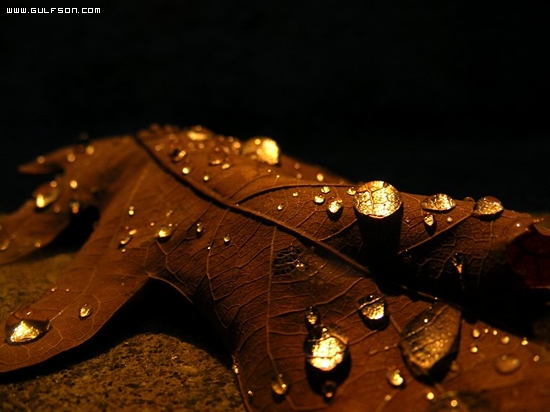 Click image for larger version

Name:	12339ef8941bf6fa2c0dbc284be011d4.jpg
Views:	1
Size:	135.2 KB
ID:	1300586