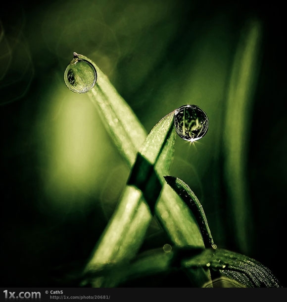 Click image for larger version

Name:	20681.jpg
Views:	1
Size:	131.8 KB
ID:	1300587