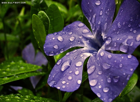 Click image for larger version

Name:	8161282d0fdc1808a7ecfae2013d38d4.jpg
Views:	2
Size:	199.0 KB
ID:	1300589