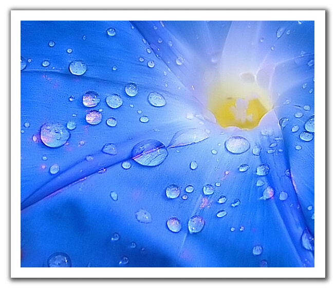 Click image for larger version

Name:	bbecda977e.jpg
Views:	1
Size:	135.5 KB
ID:	1300594
