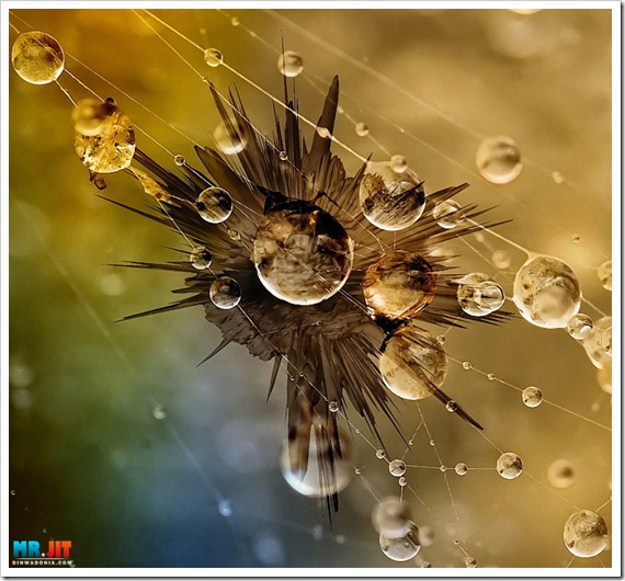 Click image for larger version

Name:	cactus_thumb.jpg
Views:	1
Size:	93.8 KB
ID:	1300598