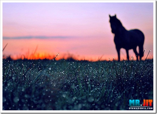 Click image for larger version

Name:	dawn_thumb.jpg
Views:	1
Size:	60.4 KB
ID:	1300602