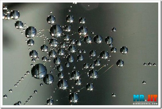 Click image for larger version

Name:	dew_thumb.jpg
Views:	1
Size:	54.8 KB
ID:	1300604